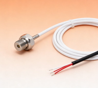 Sonde de température industrielle aquatique PT100 CWDZ00, sonde de résistance au platine de haute précision en acier inoxydable IP68