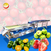 ORME Oranje Tomatensorteermachine Dragon Avocado Sorteermachine Fruit- en Groentesorteer- en Wasmachine