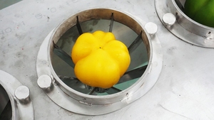 Machine automatique à prix d'usine pour retirer le cœur et couper les poivrons verts en bandes - Product Image 6