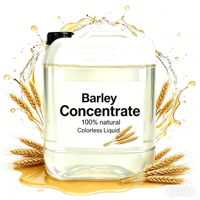Concentré liquide de malt d'orge 100% naturel, extrait d'orge, saveur d'orge naturelle, boisson fonctionnelle, bière, cocktail, HACCP