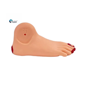 Modelo de enseñanza médica modelo de lesión de pie diabético, simulador de cambio patológico de pie realista para entrenamiento de Endocrinología - Product Image 1