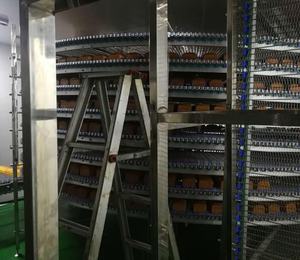 クッキービスケットハンバーガーホットドッグブレッドケーキパッケージベーカリー機器スパイラル空冷モジュラーチェーンローラータワーコンベヤー - Product Image 3