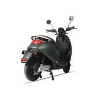 Factory Direct 1000W Electric Motorcycle Adults Scooter Two Wheels Long Seat Scooter for Adults Electric Motorbike Motorcycle