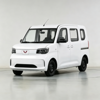 Wuling Sunshine EV 2025 Standard Mini-fourgonnette électrique LHD Véhicule à énergie nouvelle Prêt à être expédié