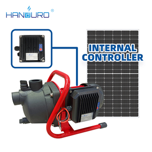 HANDURO Agriculture Petite <span class=keywords><strong>pompe</strong></span> à eau de jardin à énergie solaire 100W Dc avec contrôleur intégré - Product Image 2