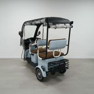 Offre Spéciale 1000W vélo <span class=keywords><strong>électrique</strong></span> à <span class=keywords><strong>3</strong></span> <span class=keywords><strong>roues</strong></span> usage familial Ebike Tricycle <span class=keywords><strong>Scooter</strong></span> pour personnes âgées <span class=keywords><strong>avec</strong></span> <span class=keywords><strong>toit</strong></span> - Product Image 6