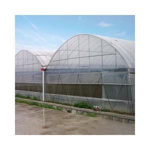 Serra in pellicola di plastica Multi-span su larga scala <span class=keywords><strong>per</strong></span> piante da fiore senza ombreggiatura - Product Image 1