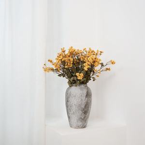 Ingrosso fiori secchi conservati margherite secche fiori di camomilla secchi crisantemo d'argento essiccato per la decorazione domestica - Product Image 1