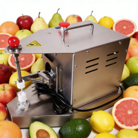 Éplucheuse de fruits électrique commerciale en acier inoxydable 304, machine à éplucher les oranges, les citrons, les pommes et les agrumes à grande vitesse