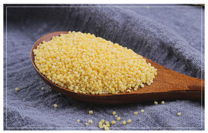 Millet jaune biologique décortiqué du Jilin, de haute qualité, non OGM, vente en gros en provenance de Chine - Product Image 3