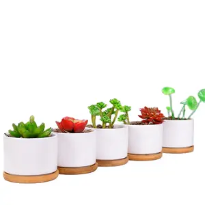 Customized White Succulent pot ceramic Mini Pots Ceramic Planter Container with Bamboo Saucers for plants