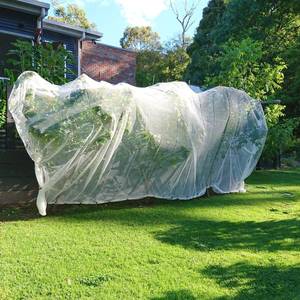 100% <span class=keywords><strong>HDPE</strong></span> UV cây ăn quả Fly <span class=keywords><strong>Net</strong></span> chống côn trùng lưới côn trùng lưới nông nghiệp 5 năm - Product Image 1