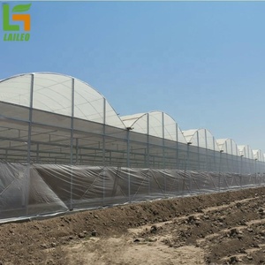 Special <strong>Greenhouse</strong> for Mushroom Cultivation Agricultural <strong>Greenhouse</strong> with <strong>Shelve</strong> and Films Free <strong>Greenhouse</strong> Design - Product Image 3