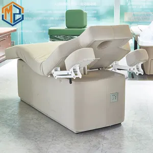 Electric Bed Massage Hot Sale Luxury Beige Beauty Salon Bed 2 Motors Electric Massage Cosmetic Table Chair Facial Spa Bed