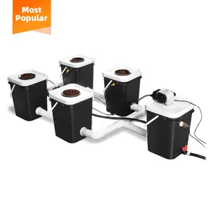 New Arrival Hydroponic Indoor Grow Hemp Nutrient Drip Irrigation Hydroponic System Hydroponic Manufacturer From China