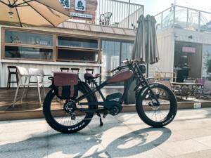 2025 BISEK personnaliser les couleurs Logos 26 pouces deux batteries au lithium 120KM gamme 350W vélos électroniques pour les trajets quotidiens - Product Image 4