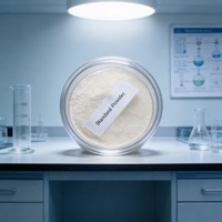 Poudre de carboxyméthylcellulose (CMC) de qualité cimentaire Zhengshizhongyuan pour le contrôle de la filtration, additif industriel, 25 kg