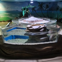 Leyu Direktvertrieb Umweltfreundliches Zylindrisches Acryl-Aquarium Maßgefertigte Größe Professionell