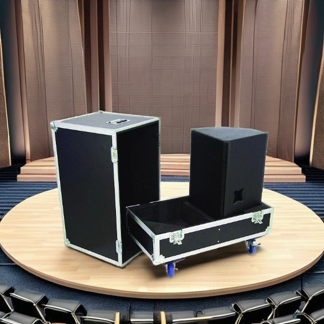 Custom Made 12 Inch Back Sound Speaker Flight Case