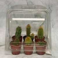 Boîte d'emballage de plantes Boîte d'emballage de plantes vivantes en plastique Emballage à clapet pour plantes vivantes
