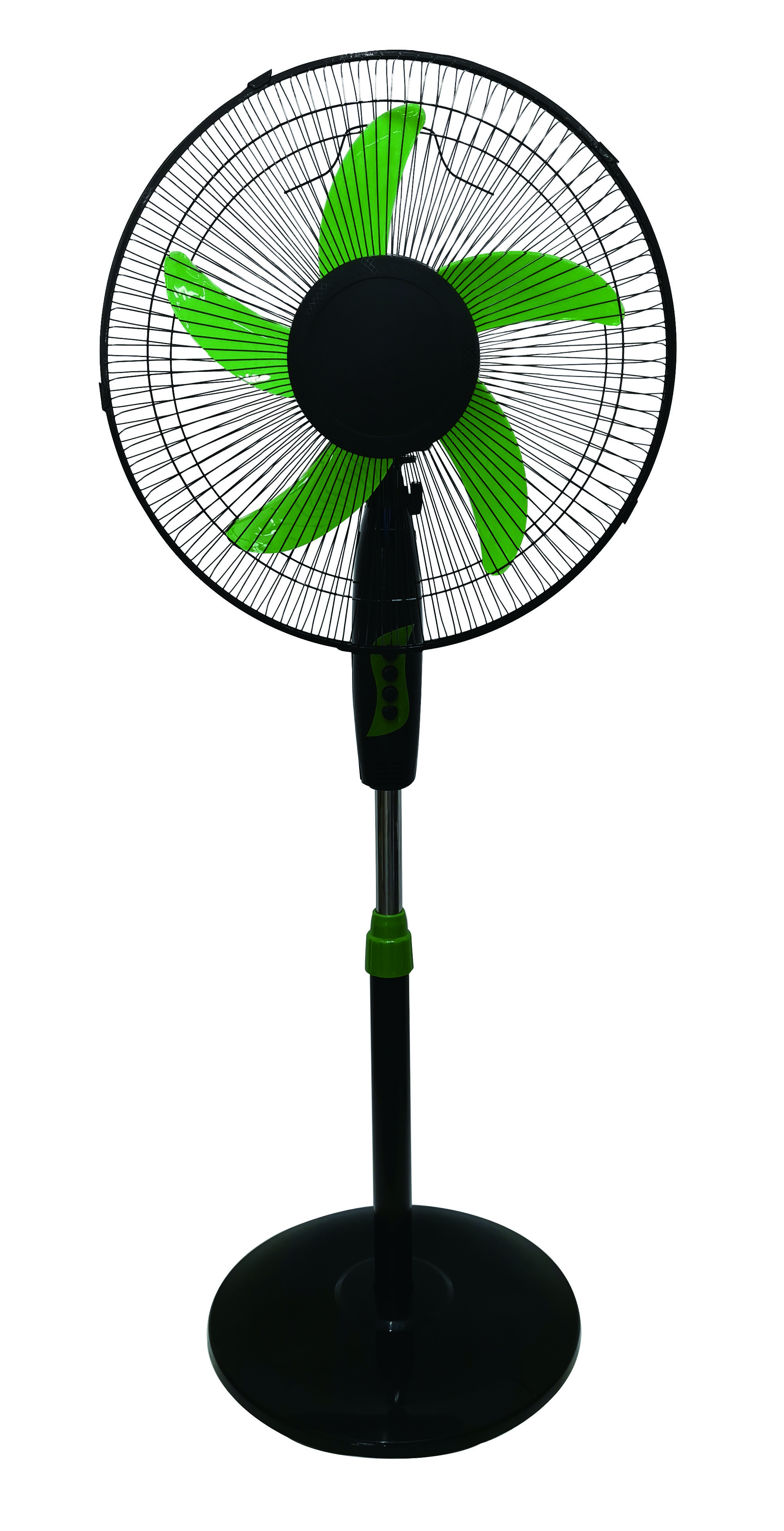 Vert