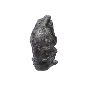 Hệ Thống PA Chống Thấm Nước Ngoài Trời DSPPA DSP644 Loa Vườn 30W - Product Image 5