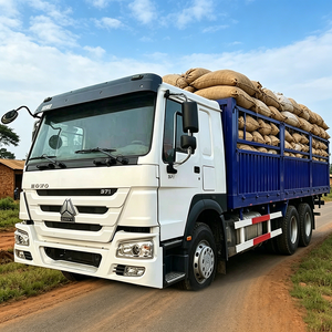 <span class=keywords><strong>Camiones</strong></span> <span class=keywords><strong>de</strong></span> Carga Usados <span class=keywords><strong>de</strong></span> Servicio Pesado Sinotruk Howo Euro 2 Diésel 371HP 375HP 380HP con Barandas para Ganado 6x4 <span class=keywords><strong>de</strong></span> 10 Ruedas - Product Image 1