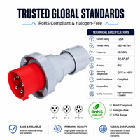 Prise de courant industrielle SFE RoHS2.0 CEE/IEC60309 IP67 16A 32A 63A 125A 3P 4P 5P Monophasée Triphasée 220 380 240 415V