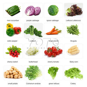 เครื่องล้างผัก/ผลไม้อุตสาหกรรมเครื่องซักผ้า800กิโลกรัม/ชั่วโมง F กะหล่ำปลีสลัดเครื่องล้างผักแบบวน - Product Image 2