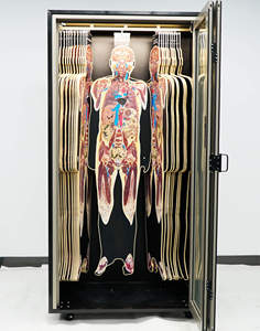 Digihuman HD cấu trúc con người Hình ảnh chụp cắt lớp mô hình in 3D cho giáo dục y tế - Product Image 3