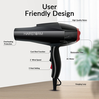 Sèche-cheveux professionnel à ions 3000 watts, sèche-cheveux et coiffeur protecteur, avec accessoire, logo personnalisé, vente chaude