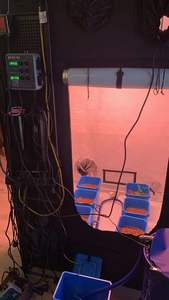 Serres agricoles plante médicale hydroponique système de culture à flux et reflux modèle de drainage par inondation avec pompe à eau - Product Image 3