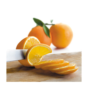 Essiccatore per Alimenti Lacor a 5 Ripiani con Controllo della Temperatura fino a 70°C - Product Image 3