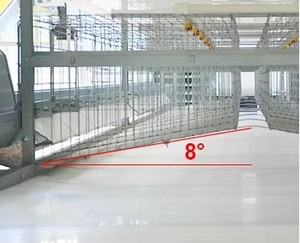 Nouvel équipement d'élevage avicole, <span class=keywords><strong>cage</strong></span> à poules pondeuses automatique à batterie de type A à 4 niveaux, galvanisée à chaud - Product Image 5