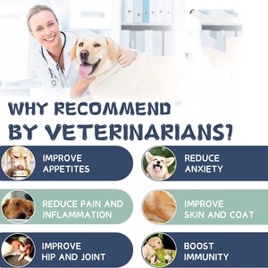 Gouttes personnalisées pour chiens, gouttes anti-stress, compléments nutritionnels pour animaux de compagnie, soulagement de l'anxiété, friandises apaisantes pour animaux de compagnie, complément apaisant pour chiens, friandises apaisantes pour chiens - Product Image 3