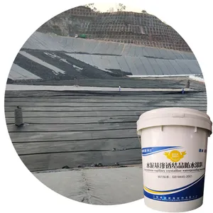 Environmentally Friendly Strong Cementitious Crystalline Waterproof Coating Penetrating Powdery Paint