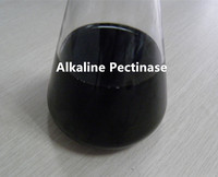 Fournisseur de pectinase alcaline enzymatique pour le bioscourage textile en Chine