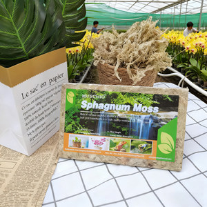 Musgo Sphagnum Seco a Granel - Marca MUSCHIO, Alta Calidad, Estilo Moderno, Tierra para Macetas y Hábitat Fúngico para Plantas Carnívoras, Jardinería - Product Image 1
