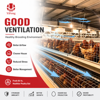 Cage à poulettes de type A, 3, 4 ou 5 niveaux, en fil d'acier Q235 galvanisé, poulailler pour poussins, ferme avicole, ISO 9001, poulailler compact