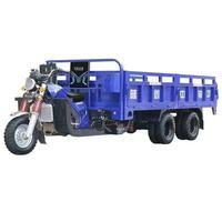 Tricycle Moto-Benne Cargo à 9 Roues Vente en Gros Usine, 300CC ou 350CC, Essence, Caisse Ouverte pour Usage de Fret