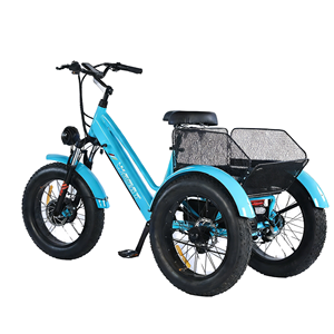Electric <b>Tricycle</b> 3 Wheels Rear Hub Motor Steel Frame Brushless Motor Lithium Battery - Product Image 1