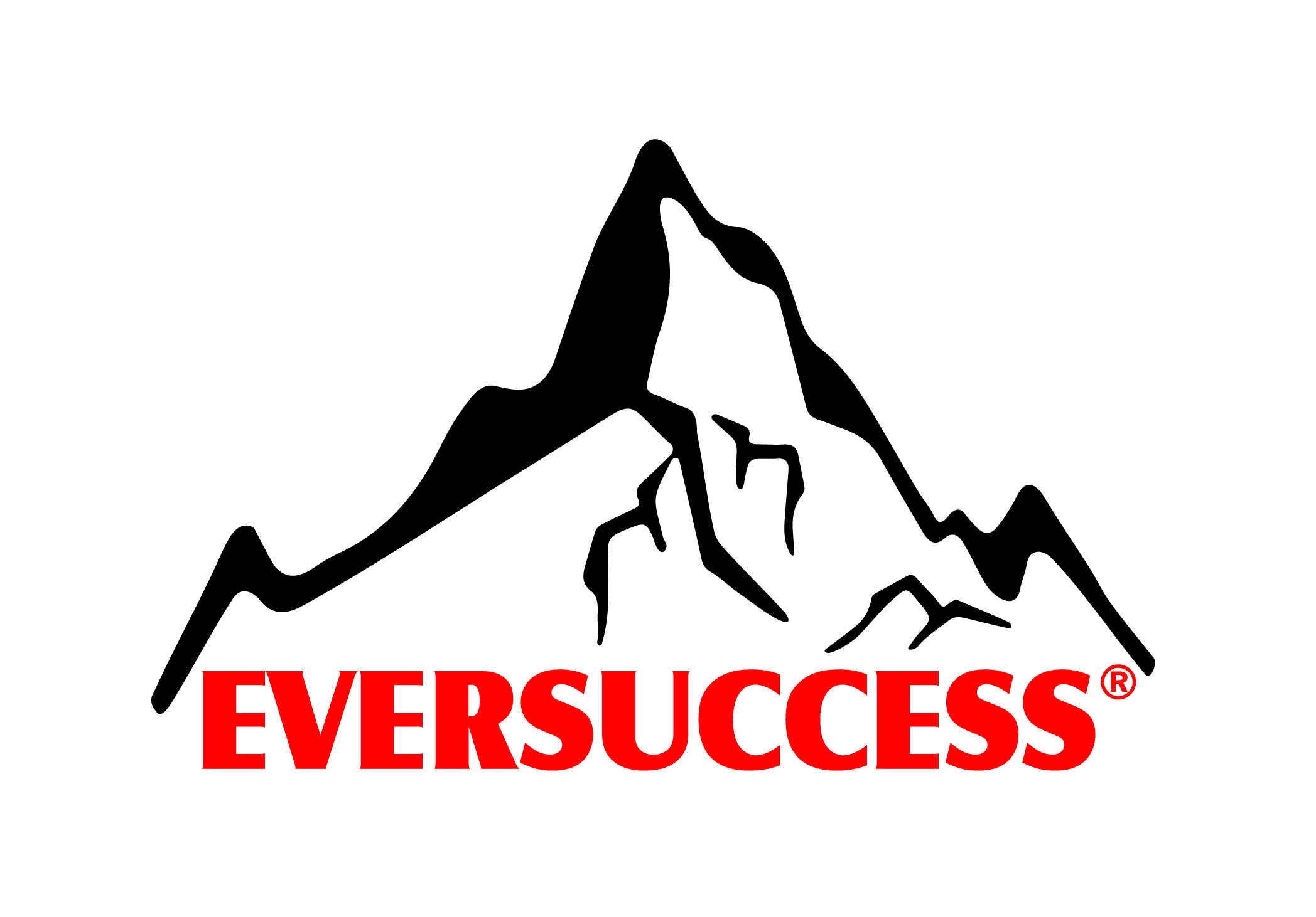 QUANZHOU EVERSUCCESSBAGS CO., LTD logo
