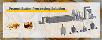 Ligne de production de beurre d'arachide industriel moyen Machine de fabrication de beurre d'arachide Machine de fabrication de pâte de noisette au chocolat