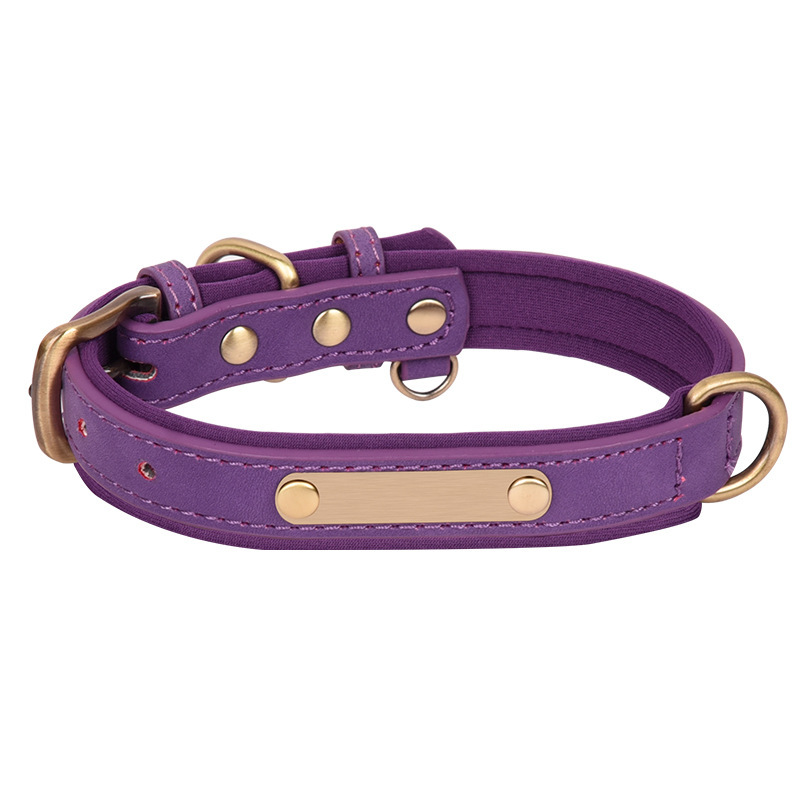 purple with logo