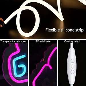 Lumière néon LED pour salle de jeux, salle d'e-sport, cybercafé, centre commercial de jeux, éclairage d'ambiance intérieur/extérieur, panneau suspendu, indicateur lumineux 5V - Product Image 2