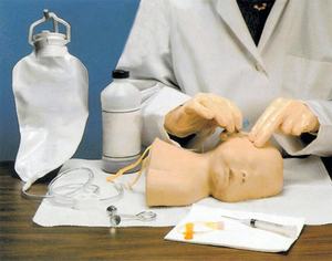 แบบจำลองการฝึกอบรมการเจาะเลือดหนังศีรษะทารกแรกเกิด,หัวฝึกอบรมการฉีดยาทางหลอดเลือดดำ - Product Image 4