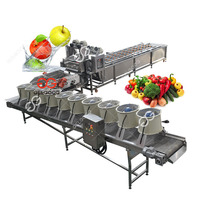Hoge Efficiëntie Industriële Groente Mango Schoonmaken Datum Bosbes Aardbei Fruit Wasmachine Bubble Wasmachine