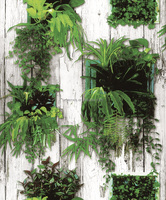 Moderne Réaliste Plante Verte 3D Wallpaper Décoration
