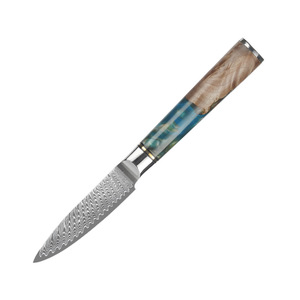 Factory Price Kitchen Chef <b>Knife</b> Set 9pcs Sharp <b>Slicing</b> <b>Knife</b> Damascus Steel Resin Handle Sustainable Kitchen <b>Knife</b> Set - Product Image 3