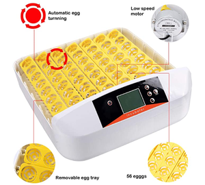 Incubadora de Huevos en Oferta con Envío Gratuito a Alemania para Mayoristas HHD EW-56A - Product Image 2